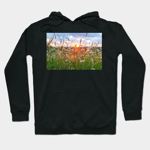 Wildflowers at Sunset Hoodie by ShootFirstNYC